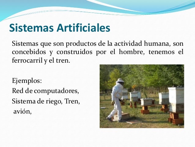 Clasificacion de los sistemas