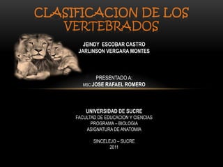 CLASIFICACION DE LOS VERTEBRADOS JEINDY  ESCOBAR CASTRO JARLINSON VERGARA MONTES PRESENTADO A: MSC.JOSE RAFAEL ROMERO  UNIVERSIDAD DE SUCRE FACULTAD DE EDUCACION Y CIENCIAS PROGRAMA – BIOLOGIA ASIGNATURA DE ANATOMIA SINCELEJO – SUCRE 2011 