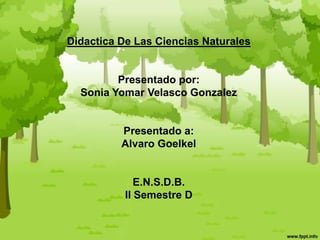 Didactica De Las Ciencias Naturales Presentado por: Sonia Yomar Velasco Gonzalez Presentado a: Alvaro Goelkel E.N.S.D.B. II Semestre D 