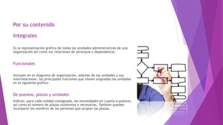 Por su contenido
Integrales
Es la representación gráfica de todas las unidades administrativas de una
organización así como sus relaciones de jerarquía o dependencia.
Funcionales
Incluyen en el diagrama de organización, además de las unidades y sus
interrelaciones, las principales funciones que tienen asignadas las unidades
en el siguiente gráfico:
De puestos, plazas y unidades
Indican, para cada unidad consignada, las necesidades en cuanto a puestos,
así como el número de plazas existentes o necesarias. También pueden
incorporar los nombres de las personas que ocupan las plazas.
 