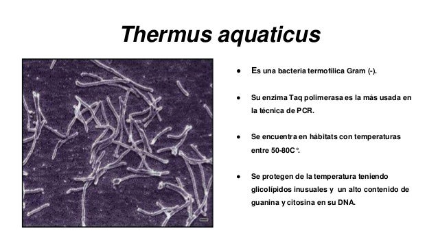 Clasificación de Organismos