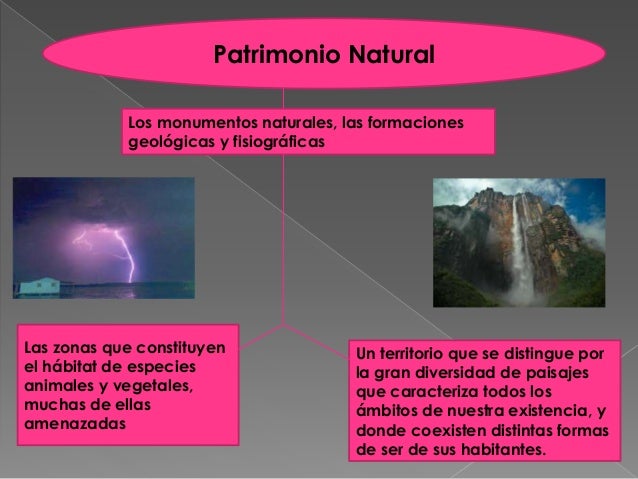 Clasificacion de patrimonio