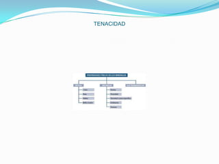TENACIDAD

 