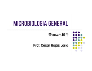 Microbiologia General
Trimestre 16-P
 