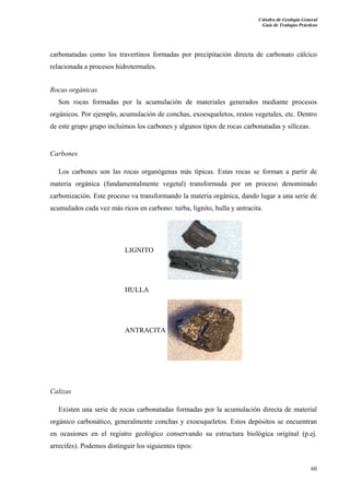 Cátedra de Geología General 
Guía de Trabajos Prácticos 
carbonatadas como los travertinos formadas por precipitación directa de carbonato cálcico 
relacionada a procesos hidrotermales. 
Rocas orgánicas 
Son rocas formadas por la acumulación de materiales generados mediante procesos 
orgánicos. Por ejemplo, acumulación de conchas, exoesqueletos, restos vegetales, etc. Dentro 
de este grupo grupo incluimos los carbones y algunos tipos de rocas carbonatadas y silíceas. 
Carbones 
Los carbones son las rocas organógenas más típicas. Estas rocas se forman a partir de 
materia orgánica (fundamentalmente vegetal) transformada por un proceso denominado 
carbonización. Este proceso va transformando la materia orgánica, dando lugar a una serie de 
acumulados cada vez más ricos en carbono: turba, lignito, hulla y antracita. 
60 
LIGNITO 
HULLA 
ANTRACITA 
Calizas 
Existen una serie de rocas carbonatadas formadas por la acumulación directa de material 
orgánico carbonático, generalmente conchas y exoesqueletos. Estos depósitos se encuentran 
en ocasiones en el registro geológico conservando su estructura biológica original (p.ej. 
arrecifes). Podemos distinguir los siguientes tipos: 
 