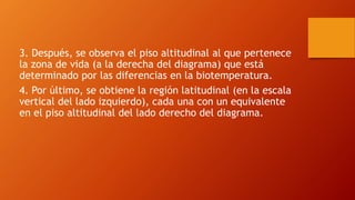 3. Después, se observa el piso altitudinal al que pertenece
la zona de vida (a la derecha del diagrama) que está
determinado por las diferencias en la biotemperatura.
4. Por último, se obtiene la región latitudinal (en la escala
vertical del lado izquierdo), cada una con un equivalente
en el piso altitudinal del lado derecho del diagrama.
 