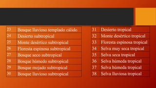 23 Bosque lluvioso templado cálido
24 Desierto subtropical
25 Monte desértico subtropical
26 Floresta espinosa subtropical
27 Bosque seco subtropical
28 Bosque húmedo subtropical
29 Bosque mojado subtropical
30 Bosque lluvioso subtropical
31 Desierto tropical
32 Monte desértico tropical
33 Floresta espinosa tropical
34 Selva muy seca tropical
35 Selva seca tropical
36 Selva húmeda tropical
37 Selva húmeda tropical
38 Selva lluviosa tropical
 