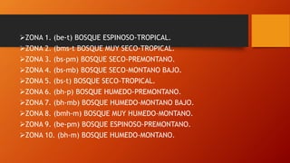 ZONA 1. (be-t) BOSQUE ESPINOSO-TROPICAL.
ZONA 2. (bms-t BOSQUE MUY SECO-TROPICAL.
ZONA 3. (bs-pm) BOSQUE SECO-PREMONTANO.
ZONA 4. (bs-mb) BOSQUE SECO-MONTANO BAJO.
ZONA 5. (bs-t) BOSQUE SECO-TROPICAL.
ZONA 6. (bh-p) BOSQUE HUMEDO-PREMONTANO.
ZONA 7. (bh-mb) BOSQUE HUMEDO-MONTANO BAJO.
ZONA 8. (bmh-m) BOSQUE MUY HUMEDO-MONTANO.
ZONA 9. (be-pm) BOSQUE ESPINOSO-PREMONTANO.
ZONA 10. (bh-m) BOSQUE HUMEDO-MONTANO.
 