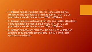 • 4. Bosque húmedo tropical (bh-T): Tiene como límites
climáticos una temperatura media superior a 24 ºC y un
promedio anual de lluvias entre 2000 y 4000 mm.
• 5. Bosque húmedo subtropical (bh-st): Con límites climáticos
a una temperatura media anual entre 18 y 24 ºC y un
promedio anual de lluvias entre 1000 y 2000 mm.
• 6. Bosque húmedo pre montano (bh-pm): Con vegetación
arbórea en su mayoría perennifolia, de 20 a 30 m, con
epifitismo moderado.
 