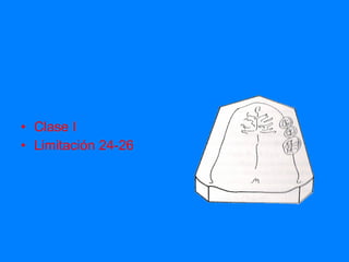 Clase I Limitación 24-26 