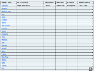 Nombre Común Por su naturaleza Por su textura Dehiscencia Nº semillas Nombre científico
Almendra Simple Monocárpico Carnoso Indehiscente Monospermo Trima (Drupa)
Amapola Simple Policárpico Seco Dehiscente Polispermo Cápsula
Árbol del amor Simple Monocárpico Seco Dehiscente Polispermo Legumbre
Arce Agregado Apocárpico Seco Indehiscente Monospermo Disámara
Arroz Simple Monocárpico Seco Indehiscente Monospermo Cariópside
Avellana Simple Monocárpico Seco Indehiscente Monospermo Nuez
Bellota Simple Sincárpico (complejo) Seco Indehiscente Monospermo Calibio (Glande)
Brachychiton Simple Monocárpico Seco Dehiscente Polispermo Folículo
Castaño Simple Monocárpico (complejo) Seco Indehiscente Monospermo Calibio (Erizo)
Ciprés Pseudocarpo Seco Dehiscente Polispermo Estróbilo
Diplotaxis Simple Sincárpico Seco Dehiscente Polispermo Silicua
Fresa Agregado Apocárpico (complejo) Seco Indehiscente Monospermo Eterio (Poliaquenio)
Magnolio Agregado Apocárpico Seco Dehiscente Monospermo Polifolículo
Maíz Simple Monocárpico Seco Indehiscente Monospermo Cariópside
Manzana Simple Sincárpico (complejo) Carnoso Indehiscente Polispermo Pomo
Naranja Simple Sincárpico Carnoso Indehiscente Polispermo Hesperidio
Nuez Simple Monocárpico Carnoso Indehiscente Monospermo Trima (Drupa)
Pepino Simple Sincárpico Carnoso Indehiscente Polispermo Pepónide
Piña Pinus Pseudocarpo Seco Dehiscente Polispermo Cono
Retama Simple Monocárpico Seco Dehiscente Polispermo Legumbre
Rosa Complejo Seco Indehiscente Polispermo Cinorrodón
Tomate Simple Sincárpico Carnoso Indehiscente Polispermo Baya
Uva Simple Monocárpico Carnoso Indehiscente Polispermo Baya
 