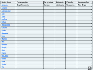 Por su naturaleza
Simple Monocárpico
Por su textura
Carnoso
Dehiscencia
Indehiscente
Nº semillas
Monospermo
Nombre científico
Trima (Drupa)
Nombre Común
Almendra
Amapola
Árbol del amor
Arce
Arroz
Avellana
Bellota
Brachychiton
Castaño
Ciprés
Diplotaxis
Fresa
Magnolio
Maíz
Manzana
Naranja
Nuez
Pepino
Piña Pinus
Retama
Rosa
Tomate
Uva
 