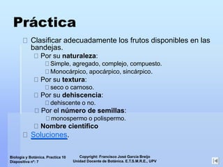 Copyright: Francisco José García Breijo
Unidad Docente de Botánica. E.T.S.M.R.E., UPV
Biología y Botánica. Practica 10
Diapositiva nº: 7
Práctica
Clasificar adecuadamente los frutos disponibles en las
bandejas.
Por su naturaleza:
Simple, agregado, complejo, compuesto.
Monocárpico, apocárpico, sincárpico.
Por su textura:
seco o carnoso.
Por su dehiscencia:
dehiscente o no.
Por el número de semillas:
monospermo o polispermo.
Nombre científico
Soluciones.
 