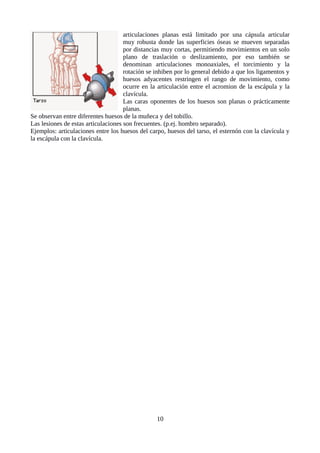 articulaciones planas está limitado por una cápsula articular
muy robusta donde las superficies óseas se mueven separadas
por distancias muy cortas, permitiendo movimientos en un solo
plano de traslación o deslizamiento, por eso también se
denominan articulaciones monoaxiales, el torcimiento y la
rotación se inhiben por lo general debido a que los ligamentos y
huesos adyacentes restringen el rango de movimiento, como
ocurre en la articulación entre el acromion de la escápula y la
clavícula.
Las caras oponentes de los huesos son planas o prácticamente
planas.
Se observan entre diferentes huesos de la muñeca y del tobillo.
Las lesiones de estas articulaciones son frecuentes. (p.ej. hombro separado).
Ejemplos: articulaciones entre los huesos del carpo, huesos del tarso, el esternón con la clavícula y
la escápula con la clavícula.
10
 