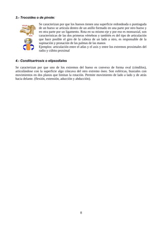 3.- Trocoides o de pivote:
Se caracterizan por que los huesos tienen una superficie redondeada o puntiaguda
de un hueso se articula dentro de un anillo formado en una parte por otro hueso y
en otra parte por un ligamento. Rota en su mismo eje y por eso es monoaxial, son
características de las dos primeras vértebras y también es del tipo de articulación
que hace posible el giro de la cabeza de un lado a otro, es responsable de la
supinación y pronación de las palmas de las manos
Ejemplos: articulación entre el atlas y el axis y entre los extremos proximales del
radio y cúbito proximal
4.- Condiloartrosis o elipsodiales
Se caracterizan por que uno de los extremos del hueso es convexo de forma oval (cóndilos),
articulándose con la superficie algo cóncava del otro extremo óseo. Son esféricas, biaxiales con
movimientos en dos planos que limitan la rotación. Permite movimiento de lado a lado y de atrás
hacia delante. (flexión, extensión, aducción y abducción).
8
 