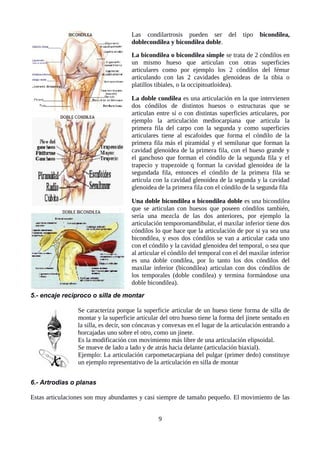 Las condilartrosis pueden ser del tipo bicondilea,
doblecondilea y bicondilea doble.
La bicondilea o bicondilea simple se trata de 2 cóndilos en
un mismo hueso que articulan con otras superficies
articulares como por ejemplo los 2 cóndilos del fémur
articulando con las 2 cavidades glenoideas de la tibia o
platillos tibiales, o la occipitoatloidea).
La doble condilea es una articulación en la que intervienen
dos cóndilos de distintos huesos o estructuras que se
articulan entre sí o con distintas superficies articulares, por
ejemplo la articulación mediocarpiana que articula la
primera fila del carpo con la segunda y como superficies
articulares tiene al escafoides que forma el cóndilo de la
primera fila más el piramidal y el semilunar que forman la
cavidad glenoidea de la primera fila, con el hueso grande y
el ganchoso que forman el cóndilo de la segunda fila y el
trapecio y trapezoide q forman la cavidad glenoidea de la
segundada fila, entonces el cóndilo de la primera fila se
articula con la cavidad glenoidea de la segunda y la cavidad
glenoidea de la primera fila con el cóndilo de la segunda fila
Una doble bicondilea o bicondilea doble es una bicondilea
que se articulan con huesos que poseen cóndilos también,
sería una mezcla de las dos anteriores, por ejemplo la
articulación temporomandibular, el maxilar inferior tiene dos
cóndilos lo que hace que la articulación de por si ya sea una
bicondilea, y esos dos cóndilos se van a articular cada uno
con el cóndilo y la cavidad glenoidea del temporal, o sea que
al articular el cóndilo del temporal con el del maxilar inferior
es una doble condilea, por lo tanto los dos cóndilos del
maxilar inferior (bicondilea) articulan con dos cóndilos de
los temporales (doble condilea) y termina formándose una
doble bicondilea).
5.- encaje reciproco o silla de montar
Se caracteriza porque la superficie articular de un hueso tiene forma de silla de
montar y la superficie articular del otro hueso tiene la forma del jinete sentado en
la silla, es decir, son cóncavas y convexas en el lugar de la articulación entrando a
horcajadas uno sobre el otro, como un jinete.
Es la modificación con movimiento más libre de una articulación elipsoidal.
Se mueve de lado a lado y de atrás hacia delante (articulación biaxial).
Ejemplo: La articulación carpometacarpiana del pulgar (primer dedo) constituye
un ejemplo representativo de la articulación en silla de montar
6.- Artrodias o planas
Estas articulaciones son muy abundantes y casi siempre de tamaño pequeño. El movimiento de las
9
 