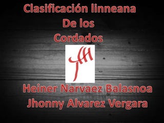 Clasificación linneana De los  Cordados  Heiner Narvaez Balasnoa JhonnyAlvarez Vergara 