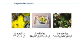 Grupo de la carnotita
Strelkinita
Na2(UO2)2(VO4)2·6H20
Vanuralita
(VO4)2]·11H20
Sengierite
Cu(UO2)2(VO4)2·6H20
 