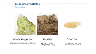 Carbonatos
Carbonatos y Nitratos
Schröckingerita
NaCa3(UO2)(SO4)(CO3)3F·10H2O
Spurrita
Ca5(SiO4)2(CO3)
Shortita
Na2Ca2(CO3)3
 