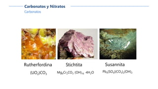 Carbonatos
Carbonatos y Nitratos
Rutherfordina
(UO2)CO3
Susannita
Pb4(SO4)(CO3)2(OH)2
Stichtita
Mg6Cr2CO3 (OH)16 ·4H2O
 