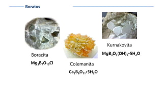 Boratos
Boracita
Mg3B7O13Cl Colemanita
Ca2B6O11•5H2O
Kurnakovita
MgB3O3(OH)5•5H2O
 
