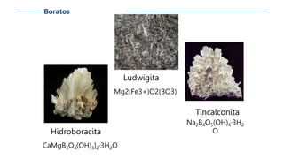 Boratos
Hidroboracita
CaMgB3O4(OH)3]2·3H2O
Tincalconita
Na2B4O5(OH)4·3H2
O
Ludwigita
Mg2(Fe3+)O2(BO3)
 