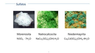 139
Morenosita
NiSO4 · 7H2O
Natrocalcocita
NaCu2(SO4)2(OH)·H2O
Niedermayrita
Cu4Cd(SO4)2(OH)6·4H2O
Sulfatos
 
