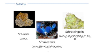 143
Scheelita
CaWO4
Schmiederita
Cu2Pb2(Se4+O3)(Se6+O4)(OH)4
Schröckingerita
NaCa3(UO2)(SO4)(CO3)3F·10H2
O
Sulfatos
 