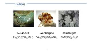 146
Susannita
Pb4(SO4)(CO3)2(OH)
Svanbergita
SrAl3(SO4)(PO4)(OH)6
Tamarugita
NaAl(SO4)2·6H2O
Sulfatos
 