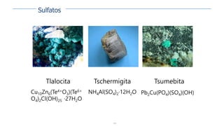 148
Tlalocita
Cu10Zn6(Te4+O3)(Te6+
O4)2Cl(OH)25 ·27H2O
Tschermigita
NH4Al(SO4)2·12H2O
Tsumebita
Pb2Cu(PO4)(SO4)(OH)
Sulfatos
 