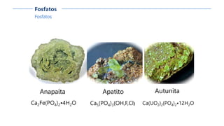 Fosfatos
Fosfatos
Anapaíta
Ca2Fe(PO4)2•4H2O
Autunita
Ca(UO2)2(PO4)2•12H2O
Apatito
Ca5(PO4)3(OH,F,Cl)
 
