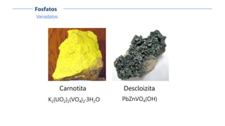 Vanadatos
Fosfatos
Carnotita
K2(UO2)2(VO4)2·3H2O
Descloizita
PbZnVO4(OH)
 