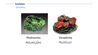 Vanadatos
Fosfatos
Mottramita
PbCuVO4(OH)
Vanadinita
Pb5(VO4)3Cl
 