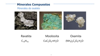 222
Ravatita
C14H10
Moolooíta
CuC2O4·nH2O
Oxamita
(NH4)2C2O4·H2O
Minerales de oxalato
Minerales Compuestos
 