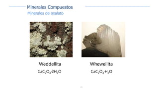 223
Weddellita
CaC2O4·2H2O
Whewellita
CaC2O4·H2O
Minerales Compuestos
Minerales de oxalato
 