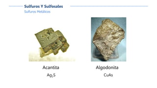 Sulfuros Metálicos
Sulfuros Y Sulfosales
Acantita
Ag2S
Algodonita
CuAs
 