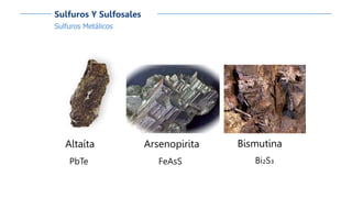 Sulfuros Metálicos
Sulfuros Y Sulfosales
Altaíta
PbTe
Bismutina
Bi₂S₃
Arsenopirita
FeAsS
 