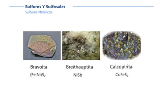 Sulfuros Metálicos
Sulfuros Y Sulfosales
Bravoíta
(Fe,Ni)S2
Calcopirita
CuFeS2
Breithauptita
NiSb
 