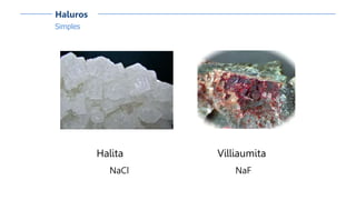 Simples
Haluros
Halita
NaCl
Villiaumita
NaF
 