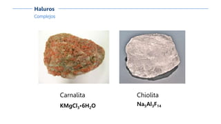 Complejos
Haluros
Carnalita
KMgCl3•6H2O
Chiolita
Na5Al3F14
 