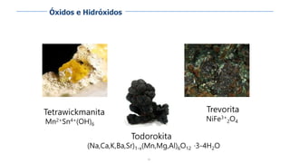 90
Tetrawickmanita
Mn2+Sn4+(OH)6
Todorokita
(Na,Ca,K,Ba,Sr)1-x(Mn,Mg,Al)6O12 ·3-4H2O
Trevorita
NiFe3+
2O4
Óxidos e Hidróxidos
 