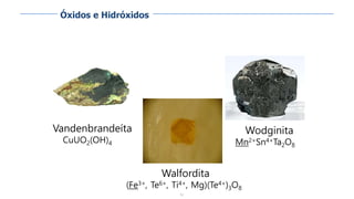 92
Vandenbrandeíta
CuUO2(OH)4
Walfordita
(Fe3+, Te6+, Ti4+, Mg)(Te4+)3O8
Wodginita
Mn2+Sn4+Ta2O8
Óxidos e Hidróxidos
 