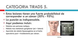 Ti Rads Pdf Clasificacion Ti Rads | PPT