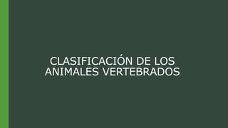 CLASIFICACIÓN DE LOS
ANIMALES VERTEBRADOS
 