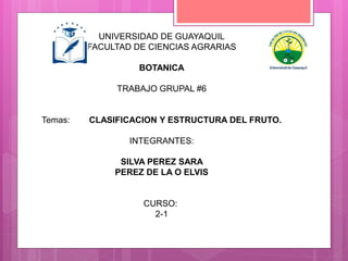 UNIVERSIDAD DE GUAYAQUIL
FACULTAD DE CIENCIAS AGRARIAS
BOTANICA
TRABAJO GRUPAL #6
Temas: CLASIFICACION Y ESTRUCTURA DEL FRUTO.
INTEGRANTES:
SILVA PEREZ SARA
PEREZ DE LA O ELVIS
CURSO:
2-1
 
