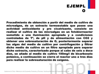 Procedimiento de obtención a partir del medio de cultivo deProcedimiento de obtención a partir del medio de cultivo de
microalgas, de un extracto termoestable que posee unamicroalgas, de un extracto termoestable que posee una
actividad antioxidante y pro cicatrizante, consiste enactividad antioxidante y pro cicatrizante, consiste en
realizar el cultivo de las microalgas en un fotobiorreactorrealizar el cultivo de las microalgas en un fotobiorreactor
sometido a una iluminación apropiada y a condicionessometido a una iluminación apropiada y a condiciones
controladas de Tº, de pH y de alimentación con CO2 ycontroladas de Tº, de pH y de alimentación con CO2 y
obtener una sobresaturación de O, posteriormente separarobtener una sobresaturación de O, posteriormente separar
las algas del medio de cultivo por centrifugación y filtrarlas algas del medio de cultivo por centrifugación y filtrar
dicho medio de cultivo en un filtro apropiado para separardicho medio de cultivo en un filtro apropiado para separar
dicho extracto, caracterizado porque al cabo de seis a docedicho extracto, caracterizado porque al cabo de seis a doce
días, se añade al medio de cultivo 100mg/l de bicarbonatodías, se añade al medio de cultivo 100mg/l de bicarbonato
potásico, a continuación se cierra el reactor uno a tres díaspotásico, a continuación se cierra el reactor uno a tres días
para realizar la sobresaturación de oxígeno.para realizar la sobresaturación de oxígeno.
EJEMPL
O
 