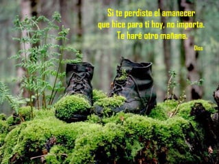 Si te perdiste el amanecer  que hice para ti hoy, no importa.  Te haré otro mañana.   Dios 