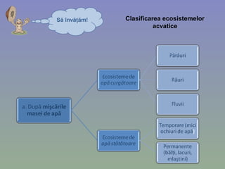 Să învăţăm! Clasificarea ecosistemelor
acvatice
 