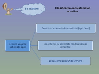 Să învăţăm! Clasificarea ecosistemelor
acvatice
 