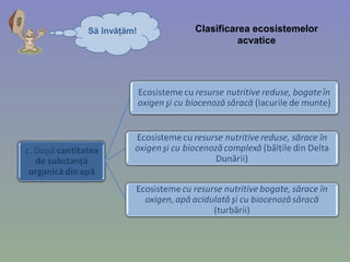 Să învăţăm! Clasificarea ecosistemelor
acvatice
 